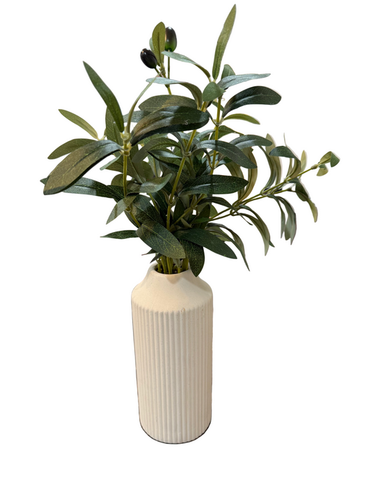 Vase with Olive Plant